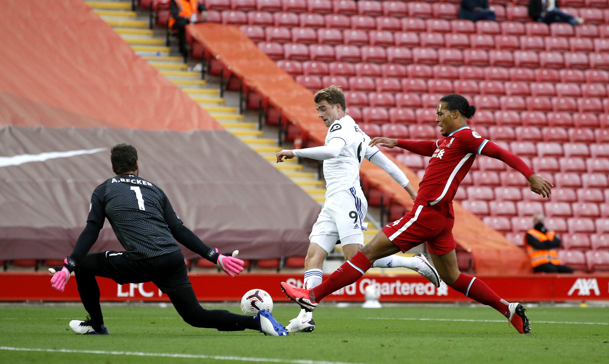 会结合当地 会结合当地